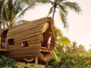 playa viva tree house